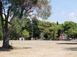 Christian ESTROSI propose au préfet une reprise raisonnée de l'arrosage des espaces verts de la ville de Nice