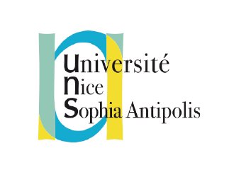 Yves Strickler, Professeur de droit à l'Université Nice Sophia Antipolis, nommé à l'académie centrale des sciences, lettres et arts 