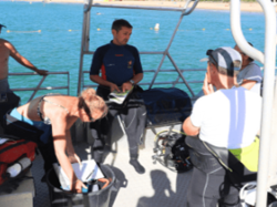 À La Croix-Valmer, 3 jours d'exploration pour révéler les trésors marins À La Croix-Valmer, 3 jours d'exploration pour révéler les trésors marins