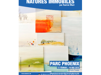 Le Parc Phoenix présente l'exposition « Natures immobiles » 