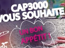Saint Laurent du Var : 3e édition du pique-nique Bio de Cap3000