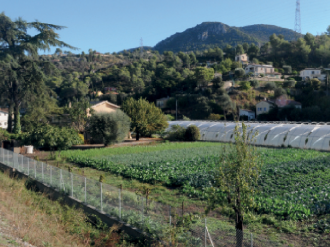 Agriculture dans les Alpes-Maritimes : après la tempête...