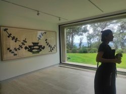 Fondation Maeght : Bonnard et Matisse dans un superbe écrin