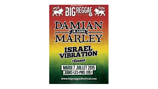 THE BIG REGGAE FESTIVAL - PART XX