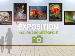 Venez découvrir l'exposition photo mobile des sites Natura 2000