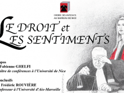 Colloque "Le droit et le sentiment" du 2 juin 2015 à la faculté de droit de Nice
