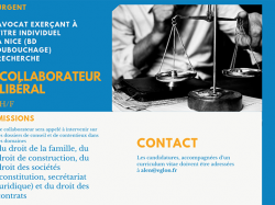 Opportunité d'emploi : Avocat Nice centre recherche collaborateur libéral (h/f) 