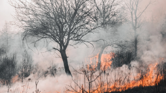 Vos infos de ce lundi 28 mars