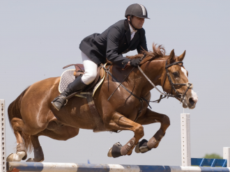 39e édition du Jumping International de Cannes : la Mairie offre des places aux Cannois