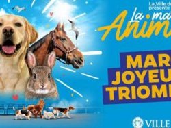 2e édition de la Marche des Animaux à Nice le 26 mars