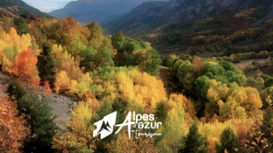La Communauté Alpes d'Azur lance sa campagne de mises à jour des données touristiques