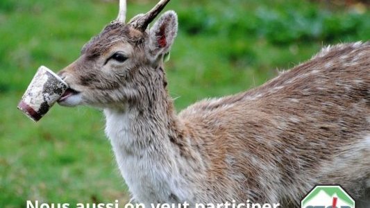 Le 10 septembre, participez au nettoyage des rives du Loup pour réduire la pollution plastique