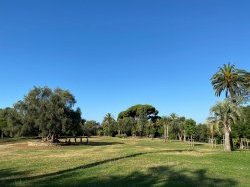 Les parcs Carol de Roumanie et Castel des Deux Rois de la Ville de Nice obtiennent le Label EcoJardin