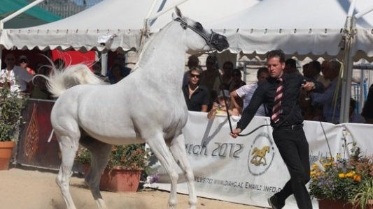 Championnat du Pur-sang Arabe de Menton 24e édition - 13 & 14 juin