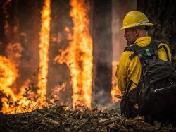 Lancement de SAFERS, nouvelle plateforme de collaboration pour lutter contre les incendies de forêt