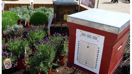  21ème édition de la Fête du Miel de Mouans-Sartoux (06) : le grand rendez-vous de l'apiculture provençale !