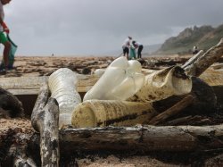 Grande opération nettoyage des plages par l'association Everyday.Earth le 25 juillet