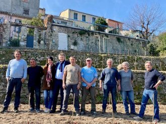 À Biot la vigne communale reprend vie