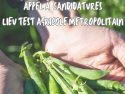 Un tremplin unique pour les futurs agriculteurs en métropole niçoise : Testez votre projet agricole sur un site équipé et accompagné ! Un tremplin unique pour les futurs agriculteurs en métropole niçoise : Testez votre projet agricole sur un site équipé et accompagné !