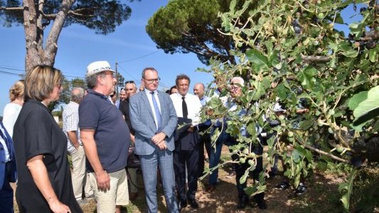 Le préfet Evence Richard au chevet des agriculteurs