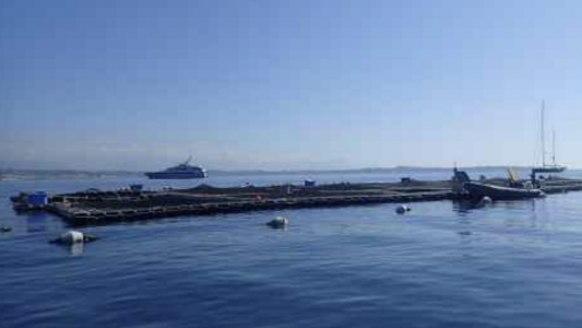 Modernisation du site aquacole des îles de Lérins : nouvelle enquête publique jusqu'au 27 mars 