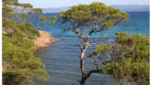 La Région PACA garde sa place de leader comme destination préférée des vacanciers