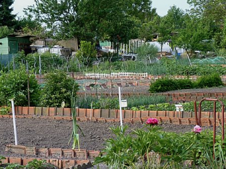 MOUGINS : Des jardins familiaux