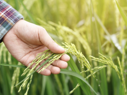 Agriculture : des permanences ouvertes dans les Alpes-Maritimes Agriculture : des permanences ouvertes dans les Alpes-Maritimes