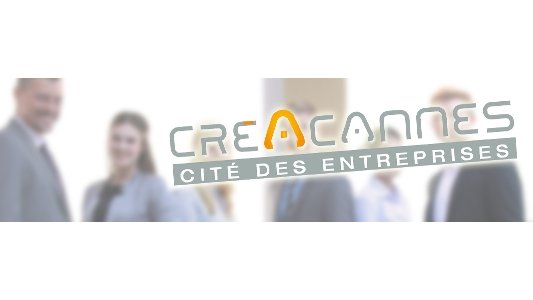 Conférence CréACannes :" Créateurs et dirigeants d'entreprise : quel statut fiscal et social ? Optimisation et idées reçues"