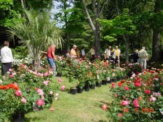 13ème SALON DES PLANTES ET DES ROSES AU CHATEAU SAINTE ROSELINE