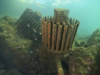 45 % des petits fonds côtiers encore menacés par les activités sur le littoral