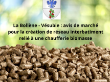 La Bollène - Vésubie : avis de marché pour la création de réseau interbatiment relié à une chaufferie biomasse