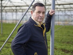 Max Bauer sent le vent de révolte qui souffle dans les campagnes ! Max Bauer sent le vent de révolte qui souffle dans les campagnes !