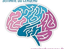 Semaine du cerveau sur la Côte d'Azur du 11 au 17 mars 2013 ?