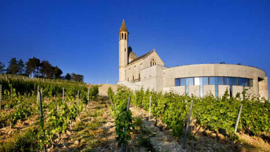 Le nouveau chai du Château de Bellet, un écrin à la hauteur de son rayonnement