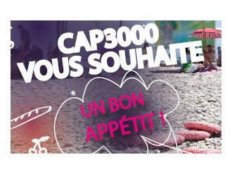 Saint Laurent du Var : 3e édition du pique-nique Bio de Cap3000
