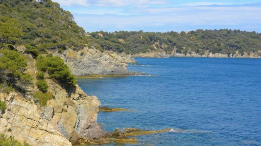 Le laboratoire Ecoseas met en ligne une base de d'informations pour les usagers de la mer