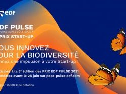 Prix EDF Pulse 2021 en Provence Alpes Côte d'Azur : candidatures ouvertes 