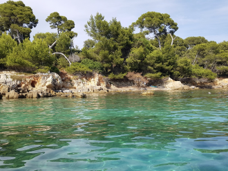 Île Sainte-Marguerite : Cannes déploie une signalétique plus discrète et intégrée aux paysages naturels