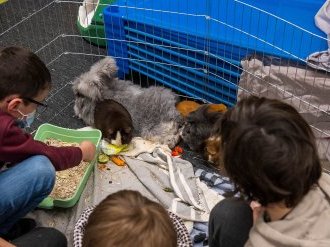 La "médiation par l'animal" au service des enfants de Villeneuve-Loubet