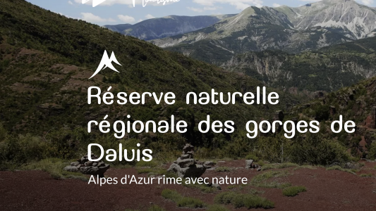 Alpes d'Azur lance son site d'information touristique