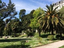 Les Niçois invités à redécouvrir les trésors botaniques et architecturaux du parc Valrose Les Niçois invités à redécouvrir les trésors botaniques et architecturaux du parc Valrose