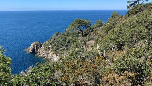 A Hyères, le Parc national mobilisé contre le risque incendie