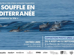 Expo : Greg Lecoeur « Un souffle en Méditerranée Ici commence la vie »