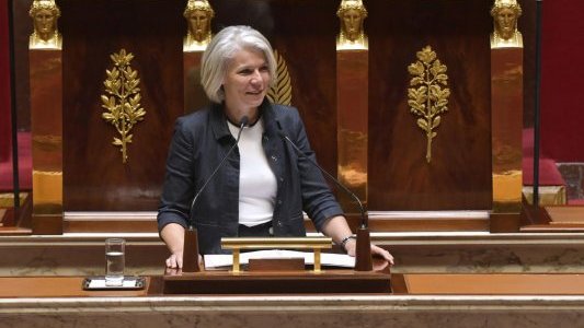 Sereine Mauborgne salue la loi sur les harkis