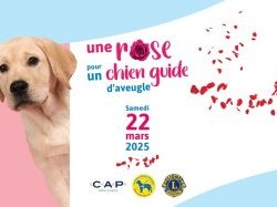 Mobilisation "Une Rose pour un Chien Guide" ce samedi 22 mars Mobilisation "Une Rose pour un Chien Guide" ce samedi 22 mars