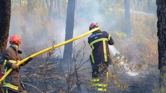 En région Sud, les risques naturels sont des enjeux majeurs à relever »