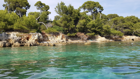 Île Sainte-Marguerite : Cannes déploie une signalétique plus discrète et intégrée aux paysages naturels