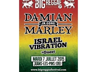 THE BIG REGGAE FESTIVAL - PART XX