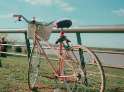 "Un vélo pour tous" : Donnez vos vélos inutilisés à Emmaüs !